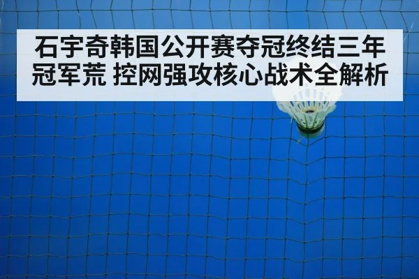 badminton net play